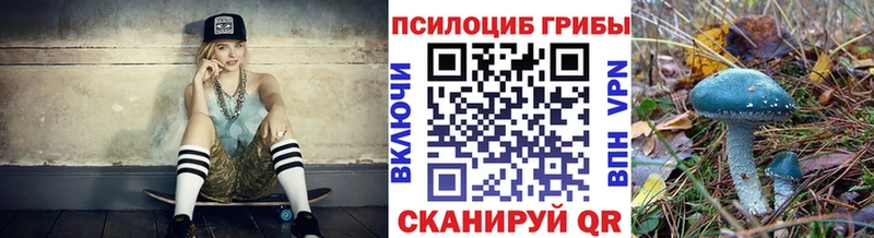 Псилоцибиновые грибы мухоморы  blacksprut ссылки  Высоцк 