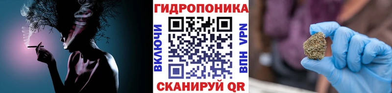 магазин    Высоцк  площадка состав  Канабис ГИДРОПОН 